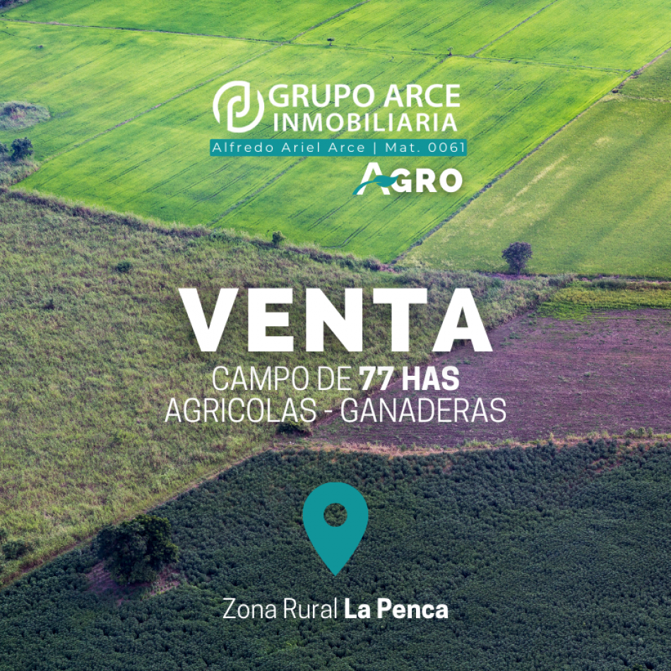 Campo 77Has Agicolas - Ganaderas