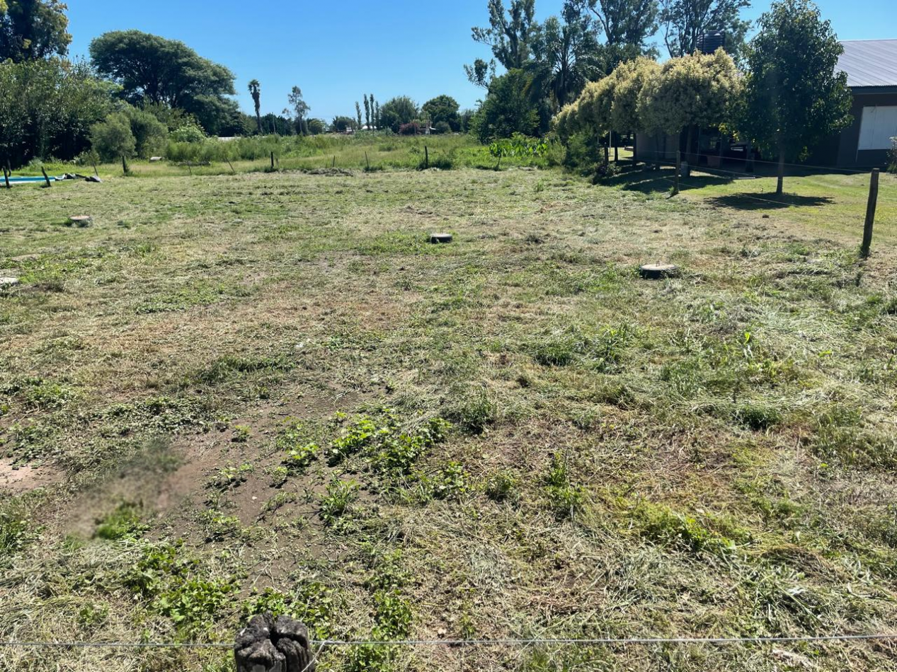 Terreno 