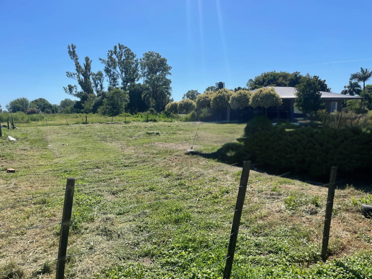 Terreno 