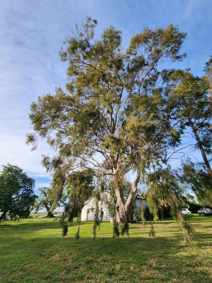 Imponente Casa de Campo