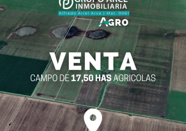 Campo 17,50Has. Agricolas