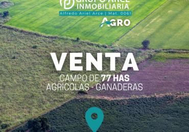 Campo 77Has Agicolas - Ganaderas